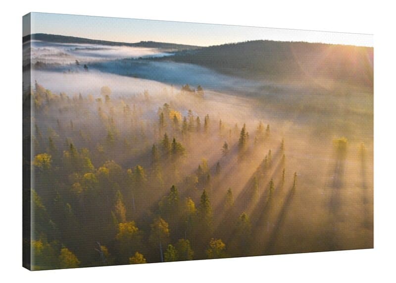 Skogens Gryning Canvastavla 70x100 cm - Slim