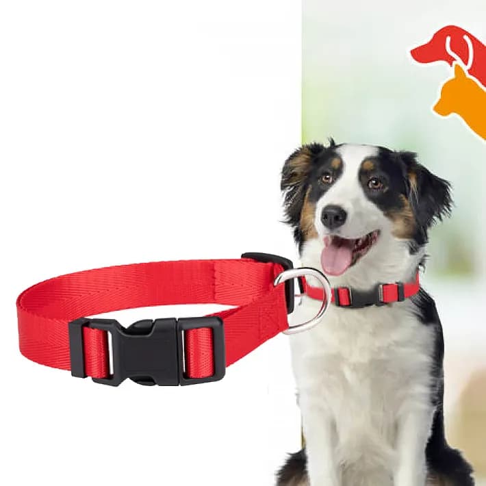 Hundhalsband Medium 33-51 cm, Röd