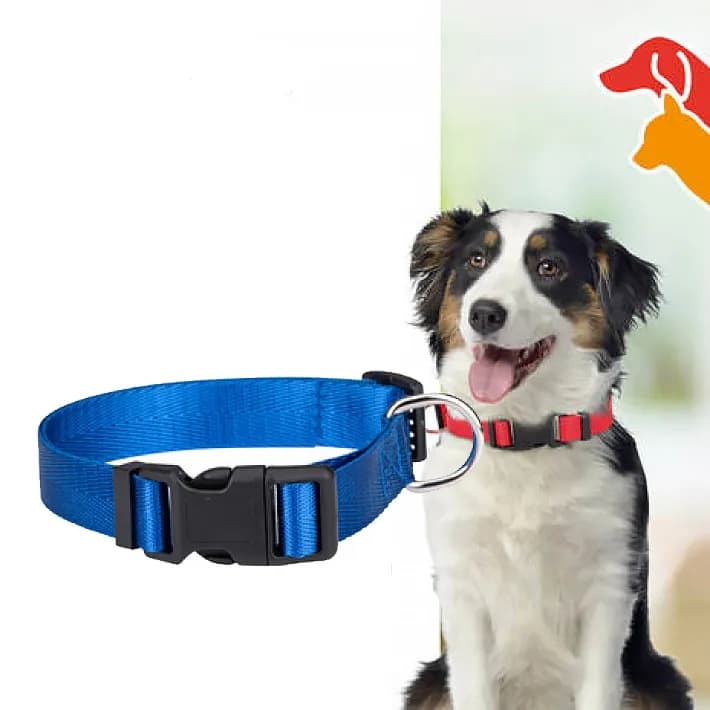 Hundhalsband Medium 33-51 cm, Blå