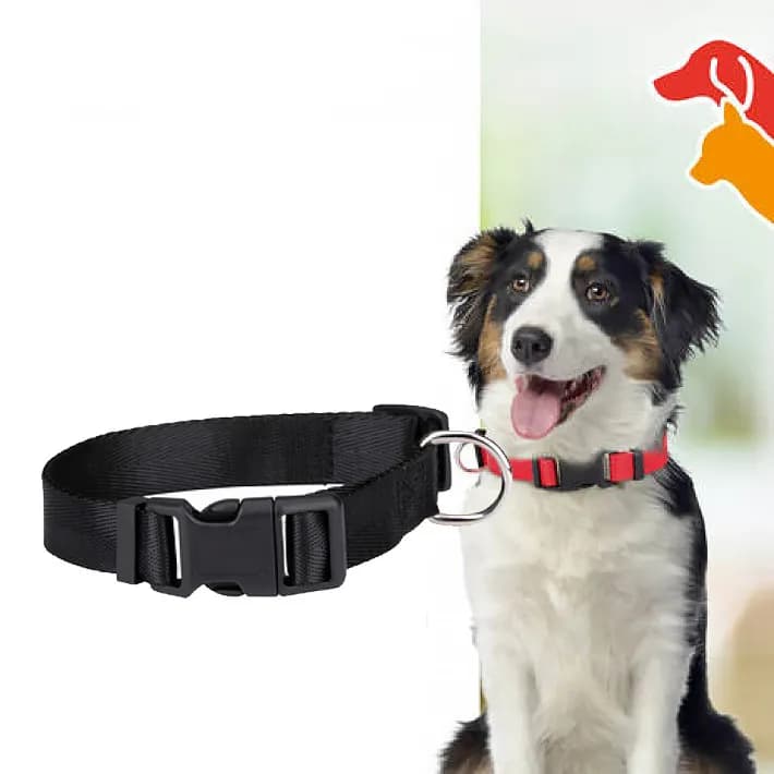Hundhalsband Medium 33-51 cm, Svart
