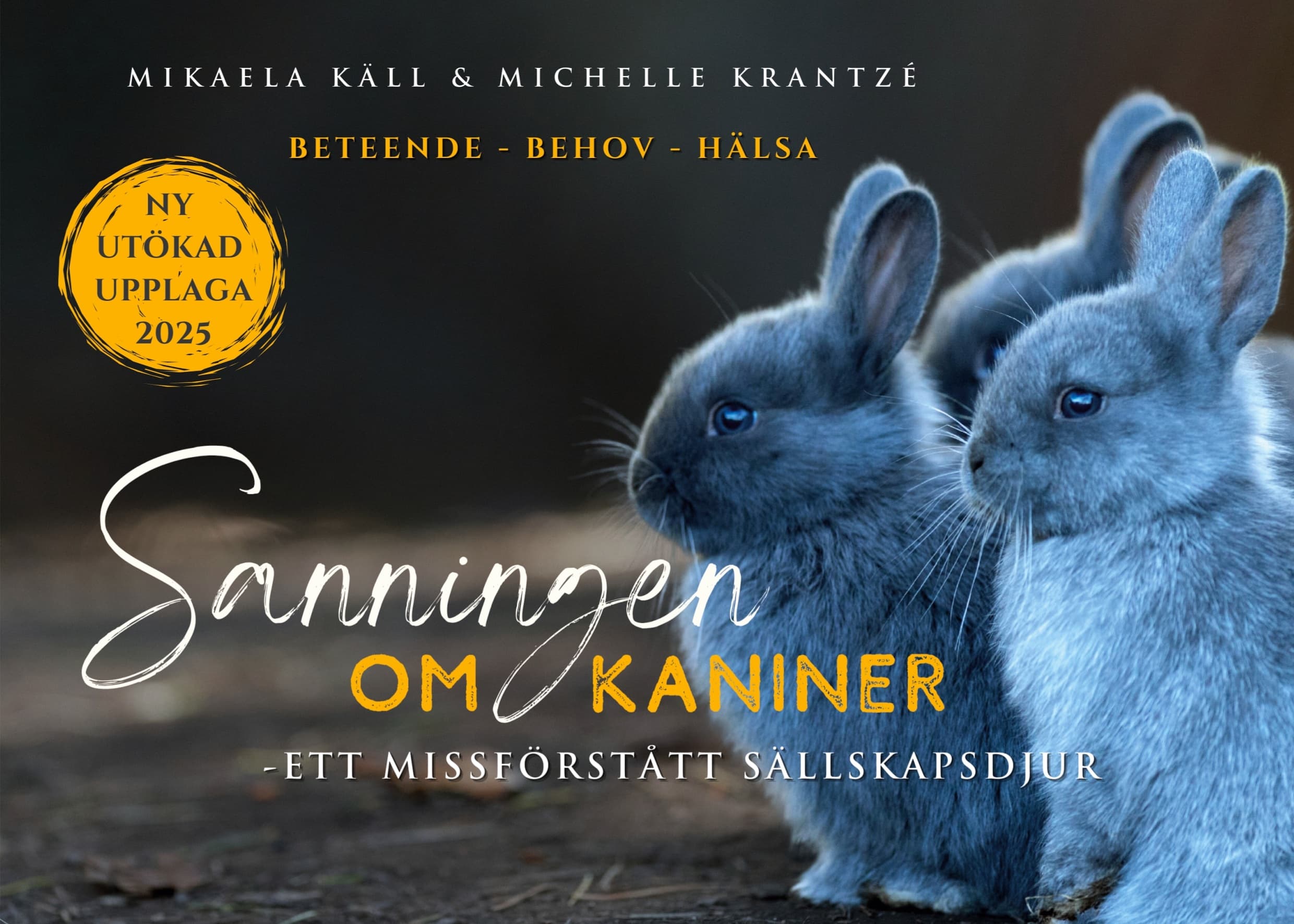 Sanningen om Kaniner: Ett Missförstått Sällskapsdjur, E-bok