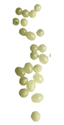 Adexa Hårda Lyspärlor Oval 3x4mm 20 Pack