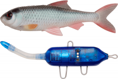 Pulz Bait Starter Kit 15cm 58g (Färg: Roach Kit 15cm - Natural Roach)