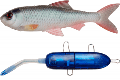 Pulz Bait Starter Kit 20cm 120g (Färg: Roach Kit 20cm - Natural Roach)