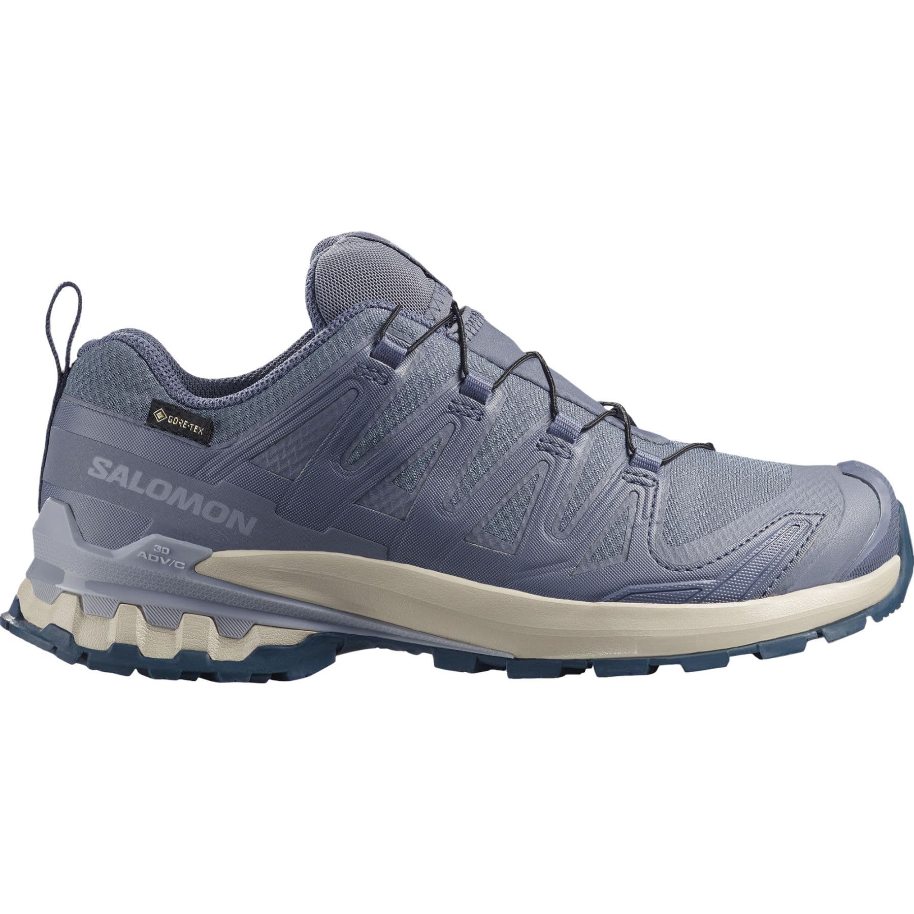 Salomon XA PRO 3D V9 GTX, Trailsko, Dam, Grå/Blå