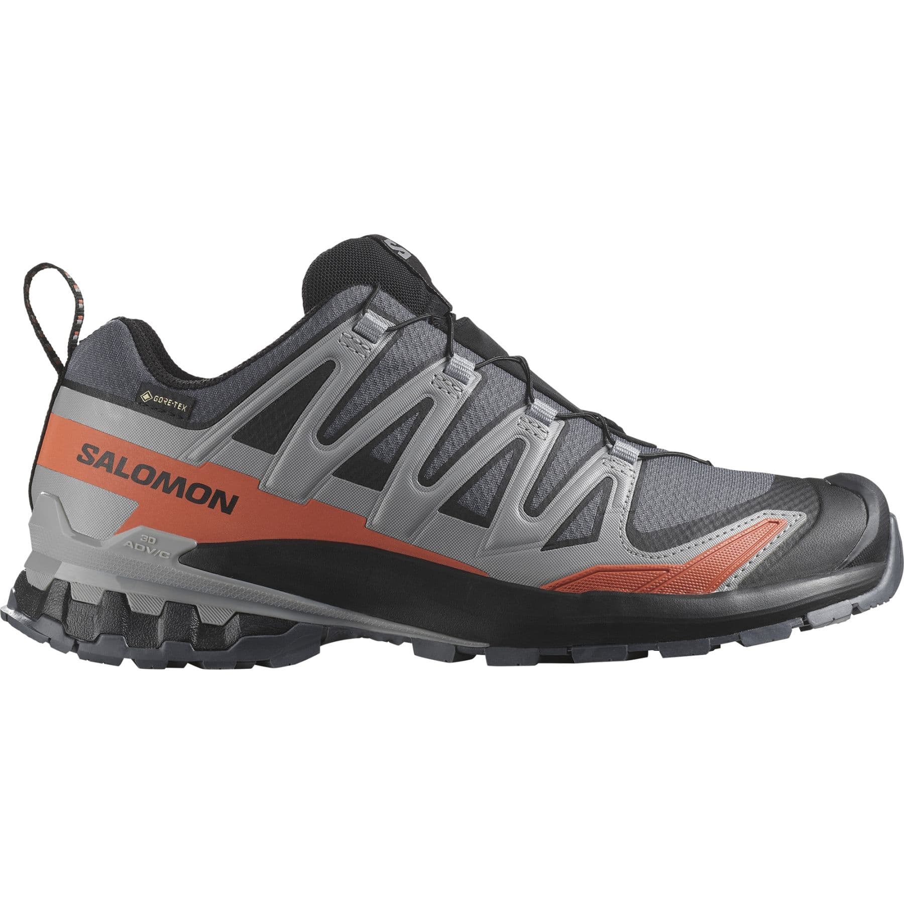 Salomon XA Pro 3D V9 GTX, Trailsko, Herr, Grå/Röd