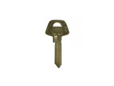 Schneider Electric BLANK KEY D12, 1 st