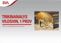 Trikinprov