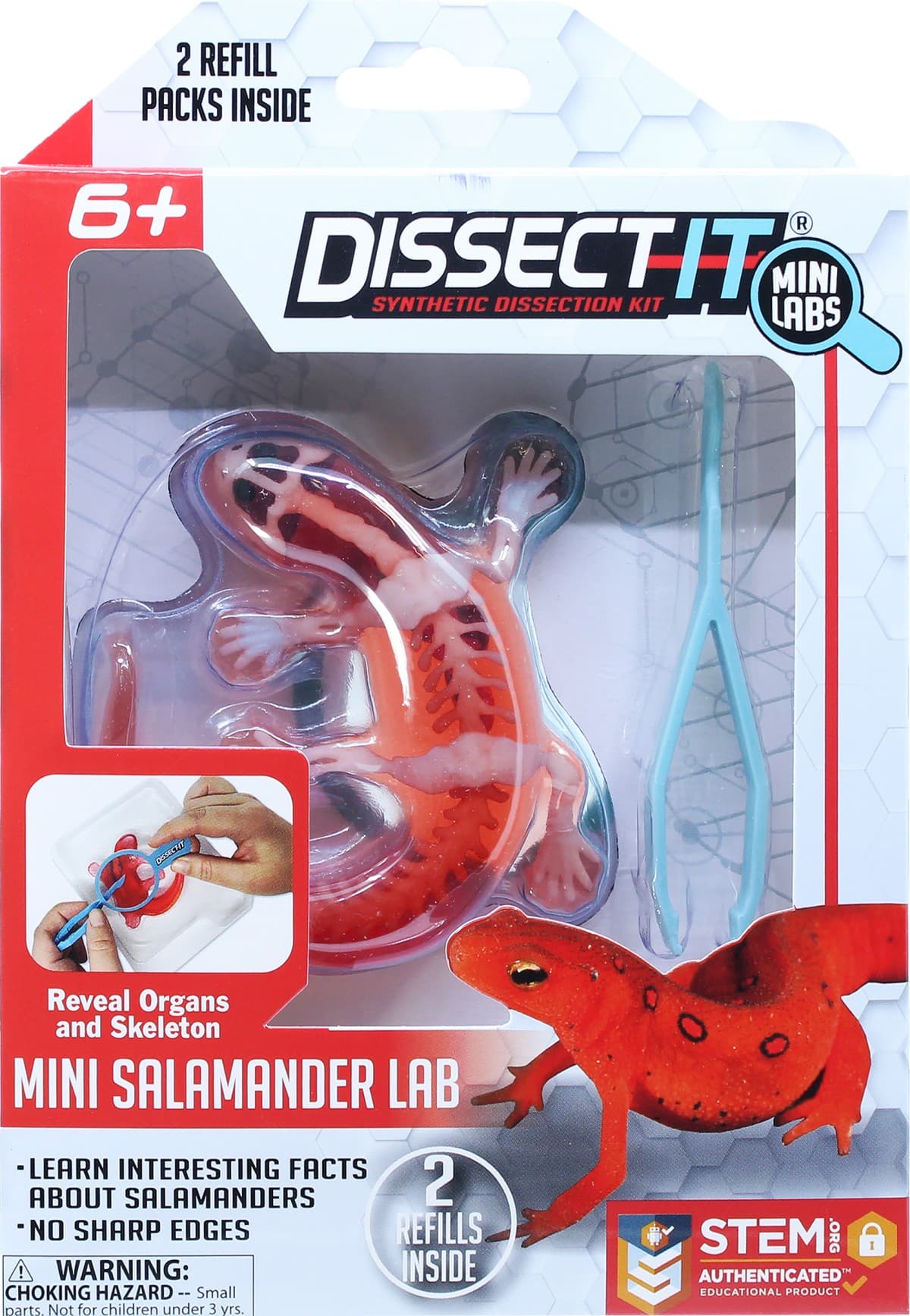Sensory Compounds - Salamander In Giftbox