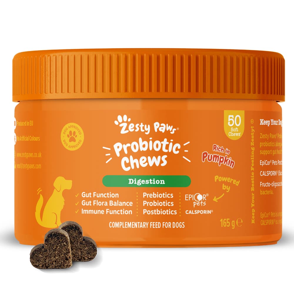 Zesty Paws Probiotic Chews Pumpa - 50 tuggtabletter