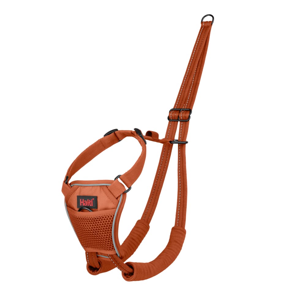 Halti Harness No Pull träningssele - orange: Größe L, z.B. Deutsche Dogge, Rottweiler
